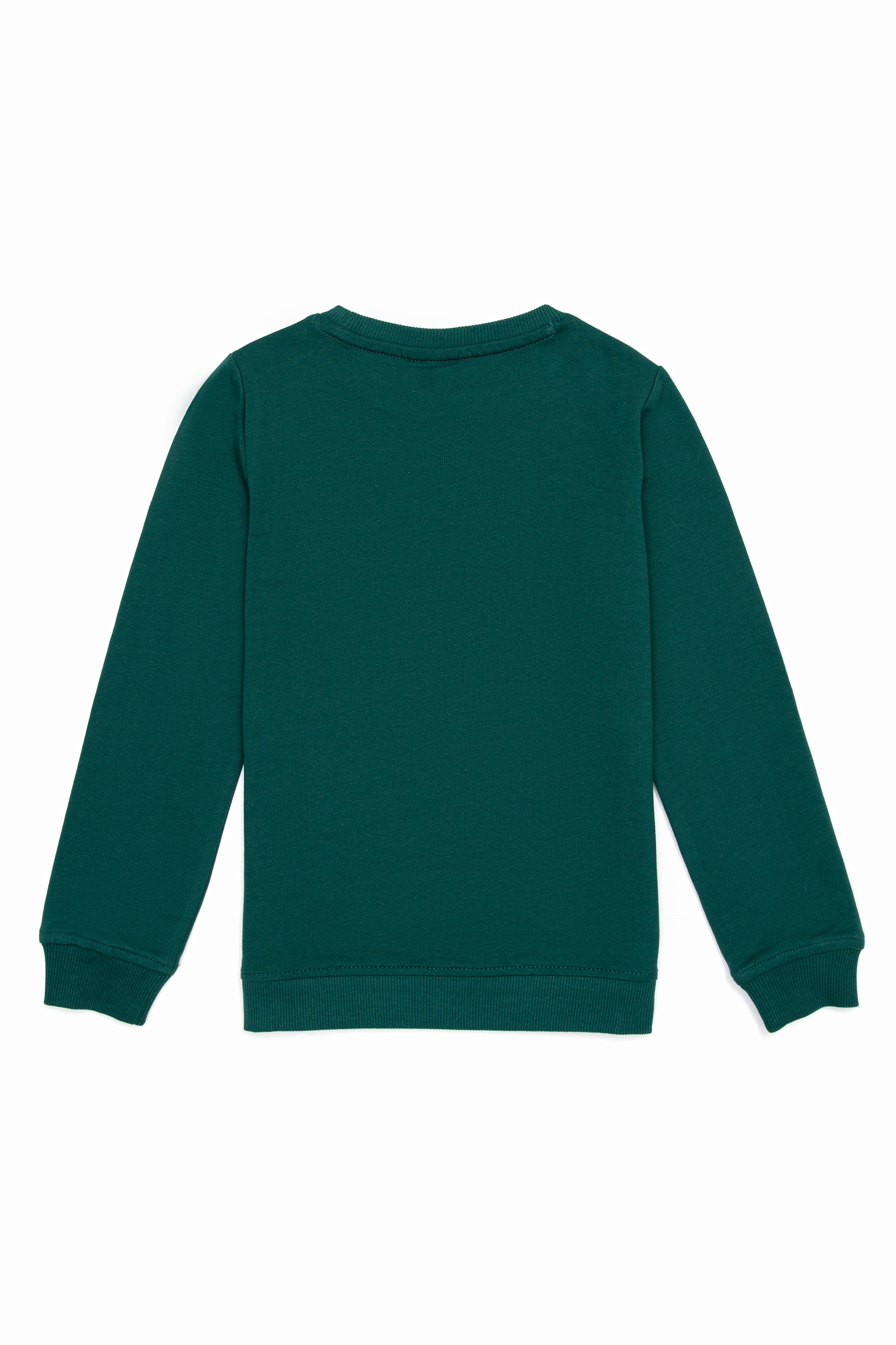 Erkek Çocuk Koyu Yeşil Sweatshirt