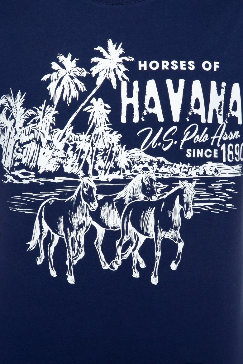 Erkek Lacivert Bisiklet Yaka T-Shirt - 50251679020