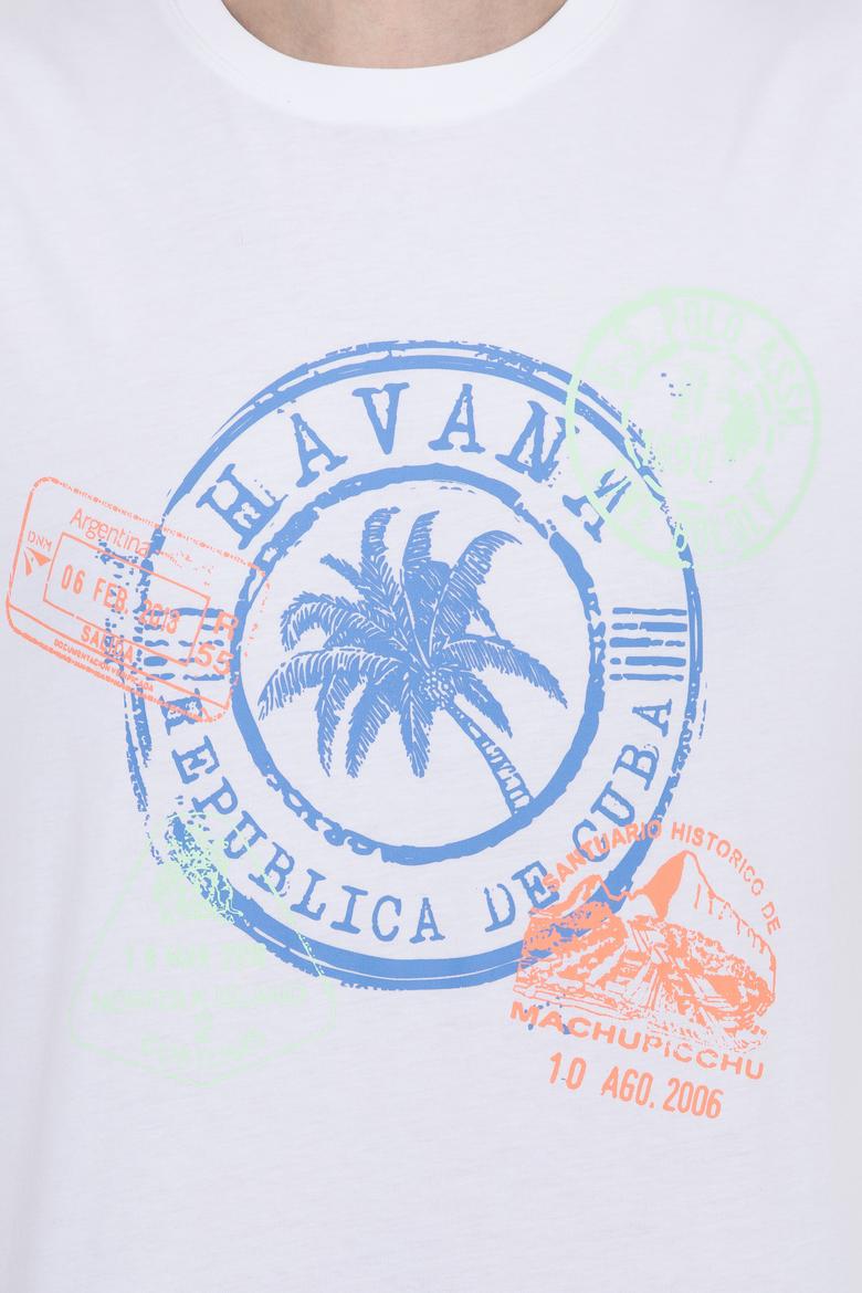 Erkek Beyaz Bisiklet Yaka Tişört - 50246119007