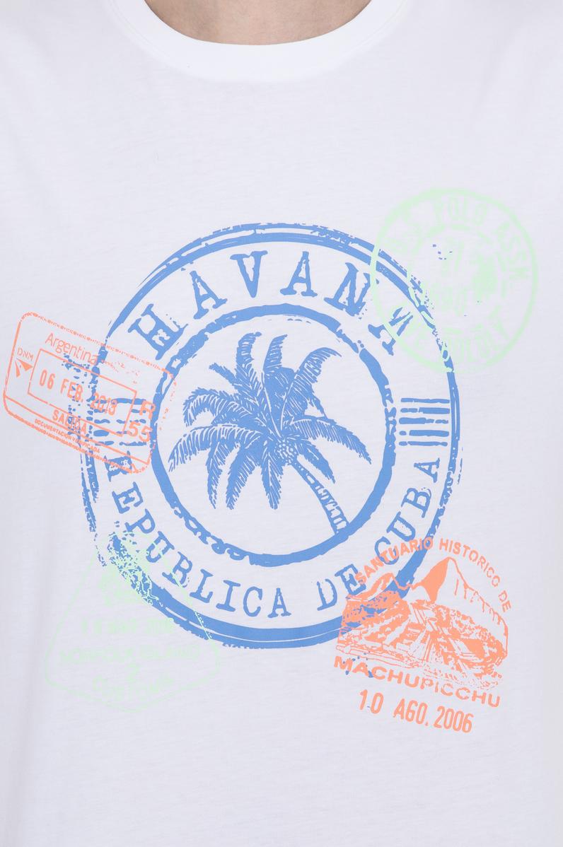 Erkek Beyaz Bisiklet Yaka Tişört