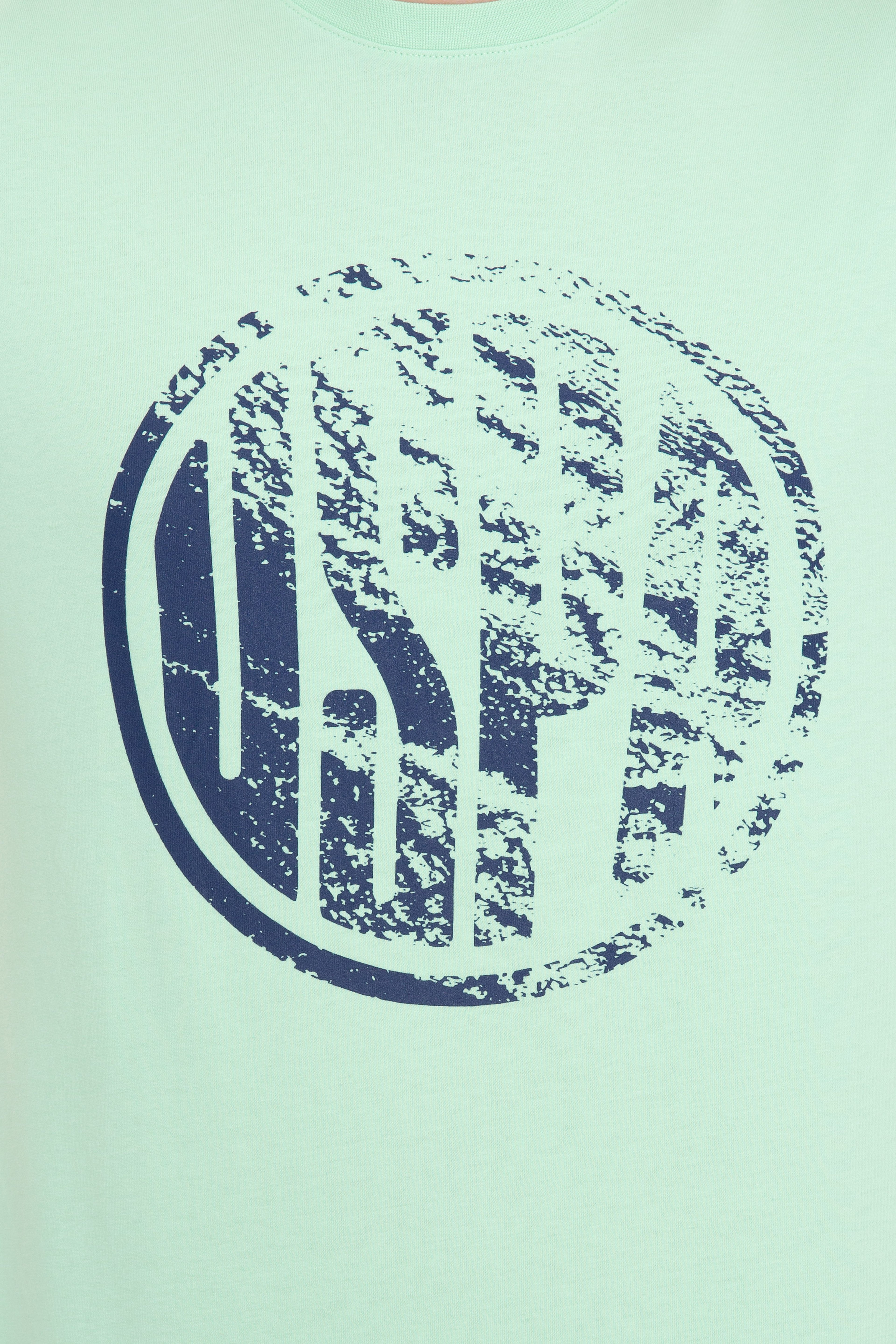 Erkek Mint Yeşili Bisiklet Yaka T-Shirt - Image 7