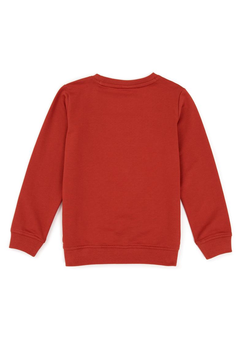 Erkek Çocuk Tarçın Basic Sweatshirt - 50236949089