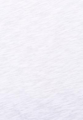 Kadın Beyaz Bisiklet Yaka Tişört - 50248059014