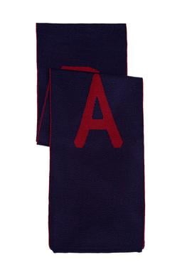 Erkek Lacivert Kaşkol - 50241020002