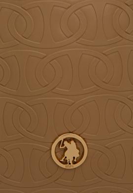 Kadın Koyu Bej Çanta - 50251140007