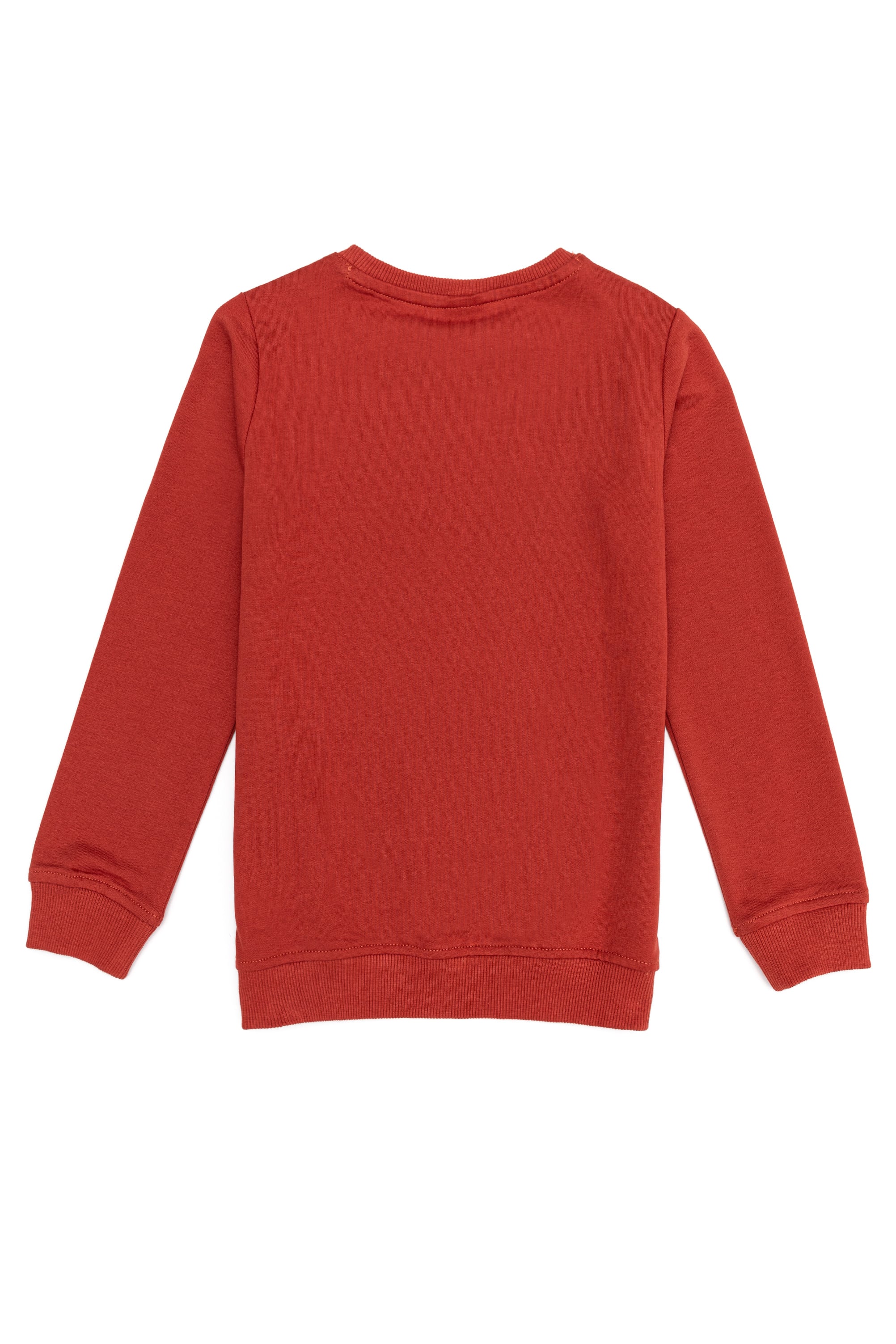 Erkek Çocuk Tarçın Basic Sweatshirt