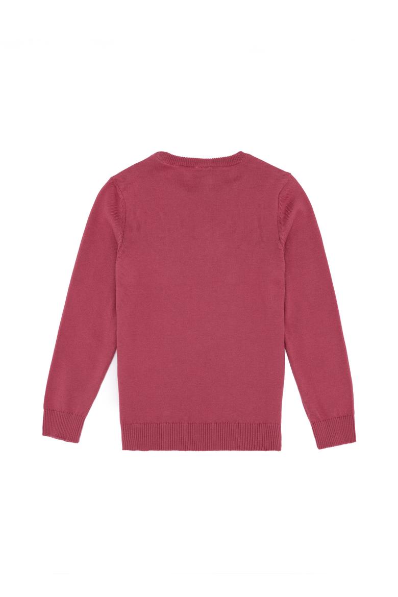 Kız Çocuk Pembe Basic Bisiklet Yaka Kazak - 50257696056