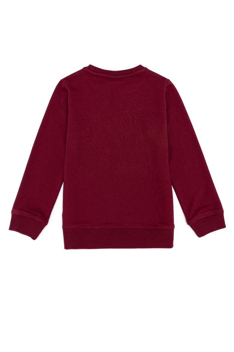 Çocuk Vişne Bisiklet Yaka Sweatshirt - 50256858051