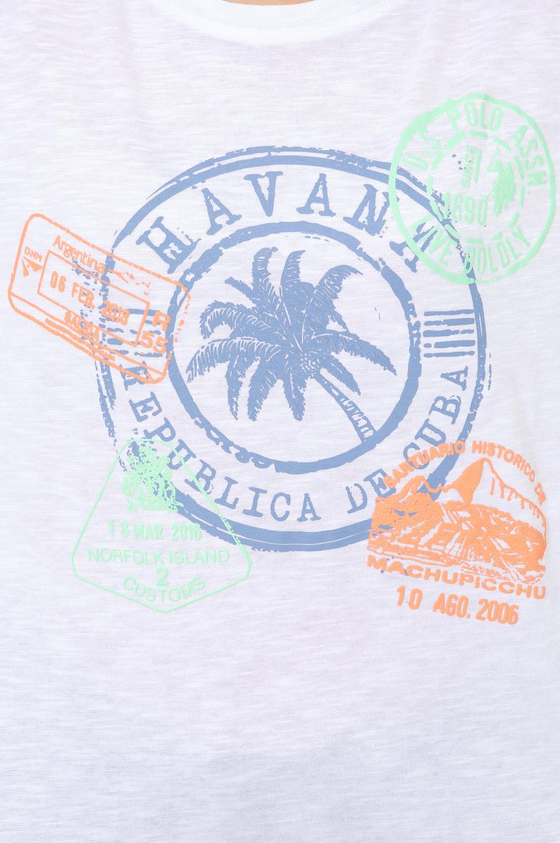 Kadın Beyaz Bisiklet Yaka Tişört