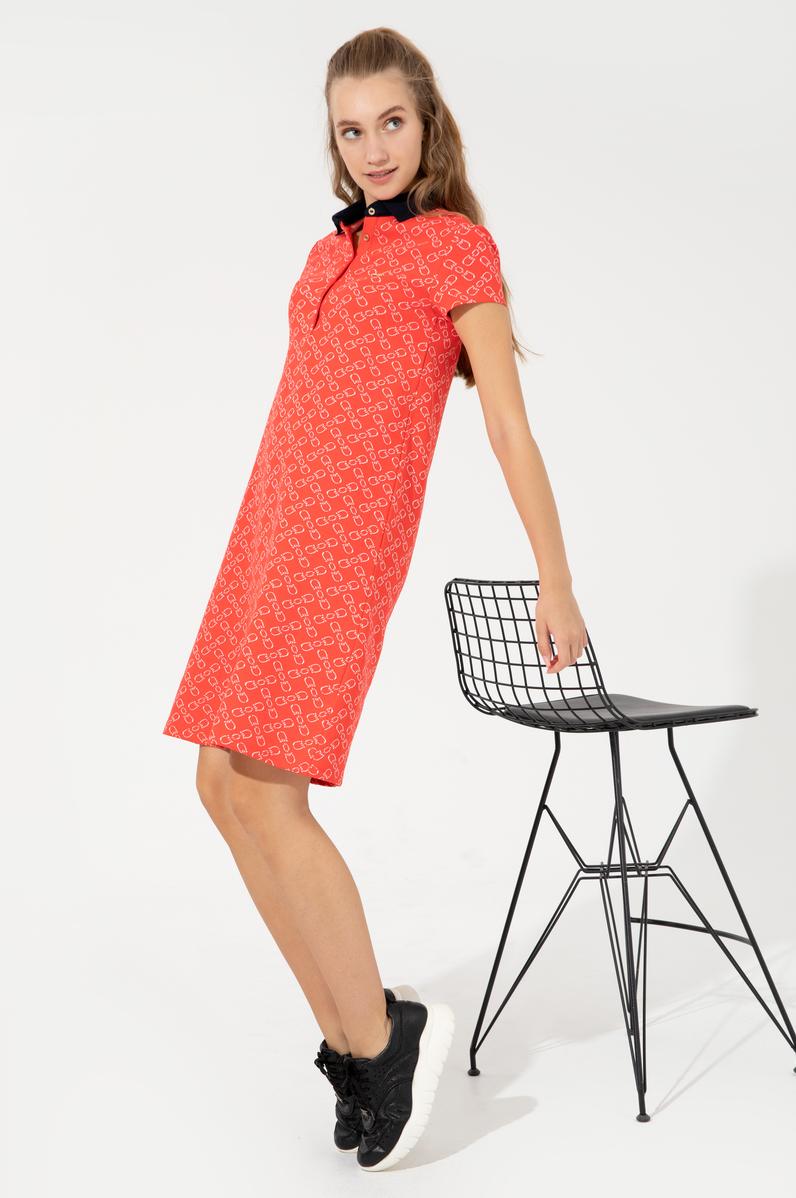 Kadın Kırmızı Polo Yaka Örme Elbise