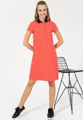 Kadın Kırmızı Polo Yaka Örme Elbise - 50248908024