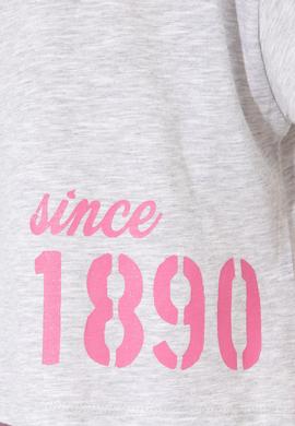 Kadın Gri Melanj Bisiklet Yaka Crop Tişört - 50248957038