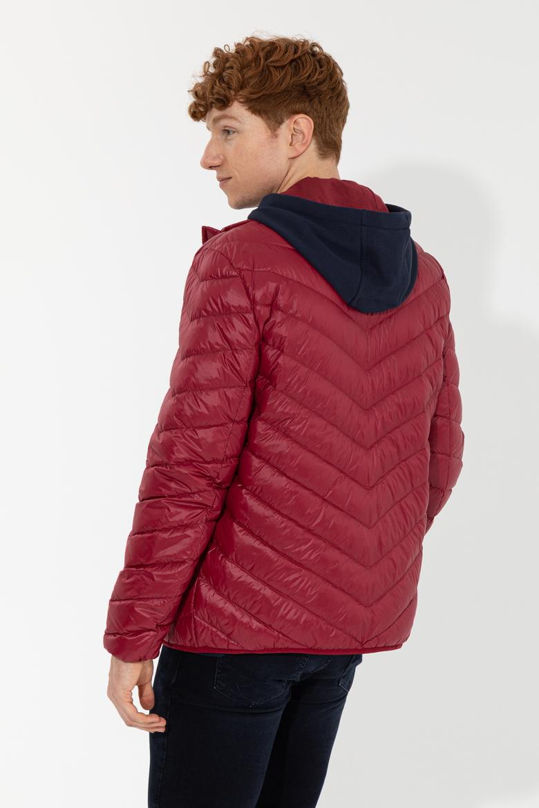 Erkek Vişne Mont - 50254389045