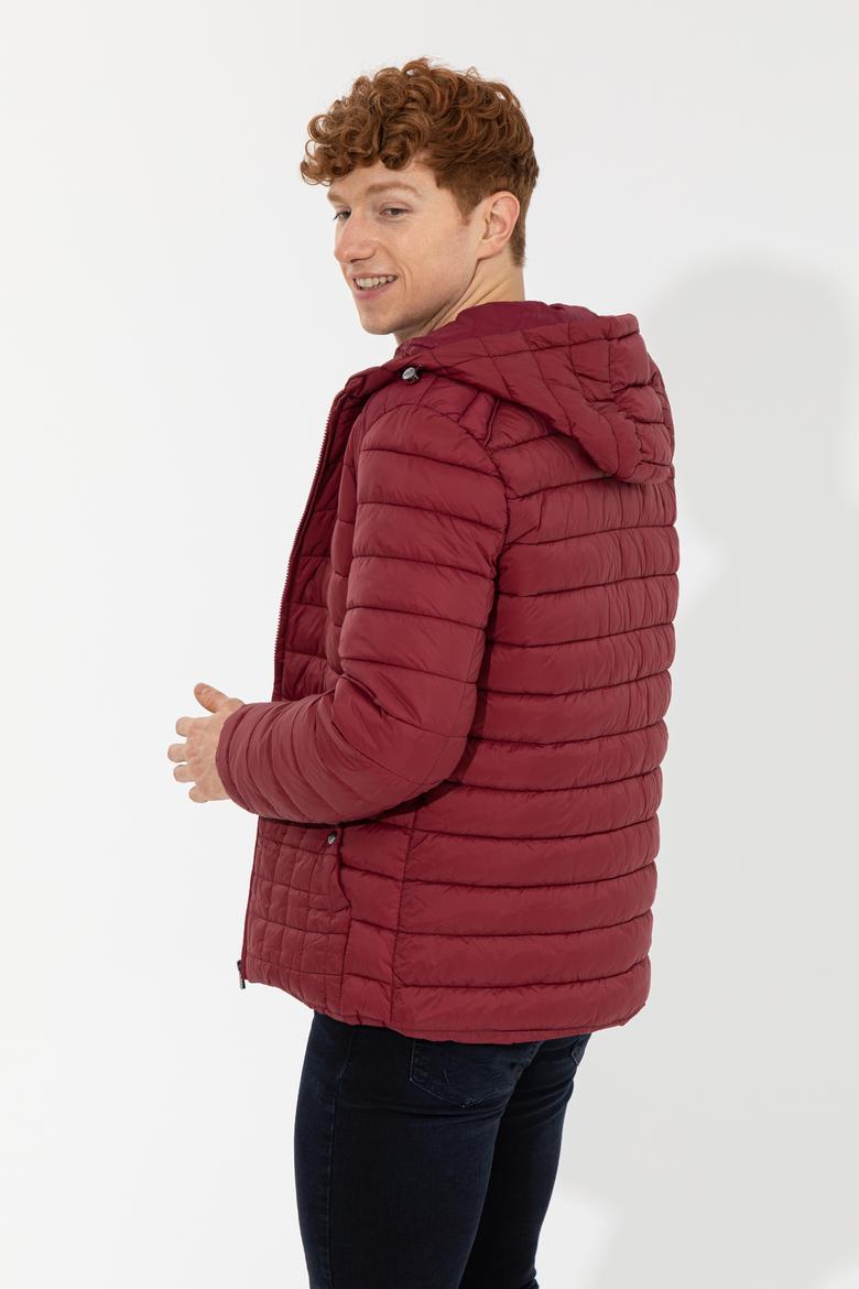 Erkek Vişne Mont - 50252692033