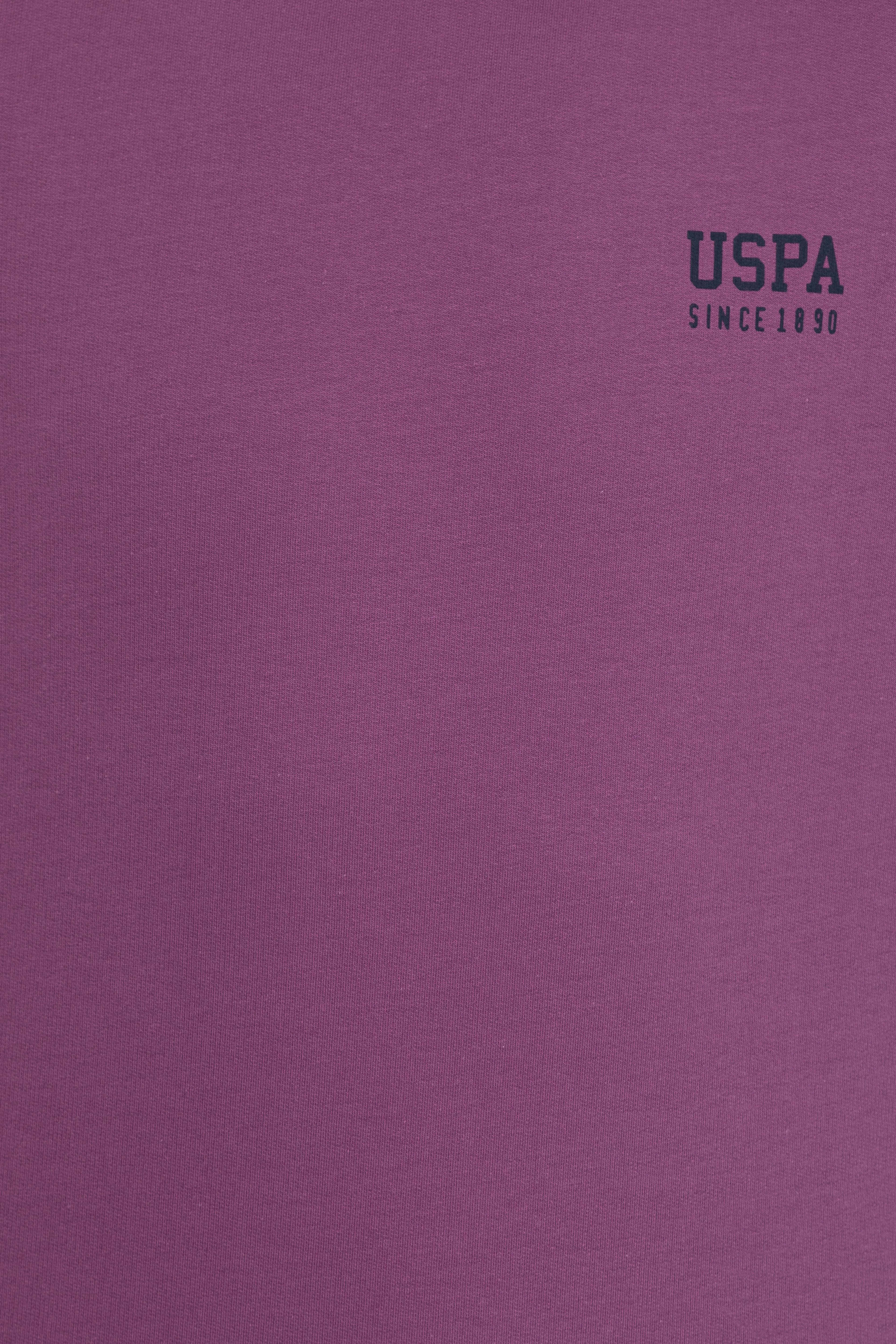 Erkek Menekşe Basic Sweatshirt