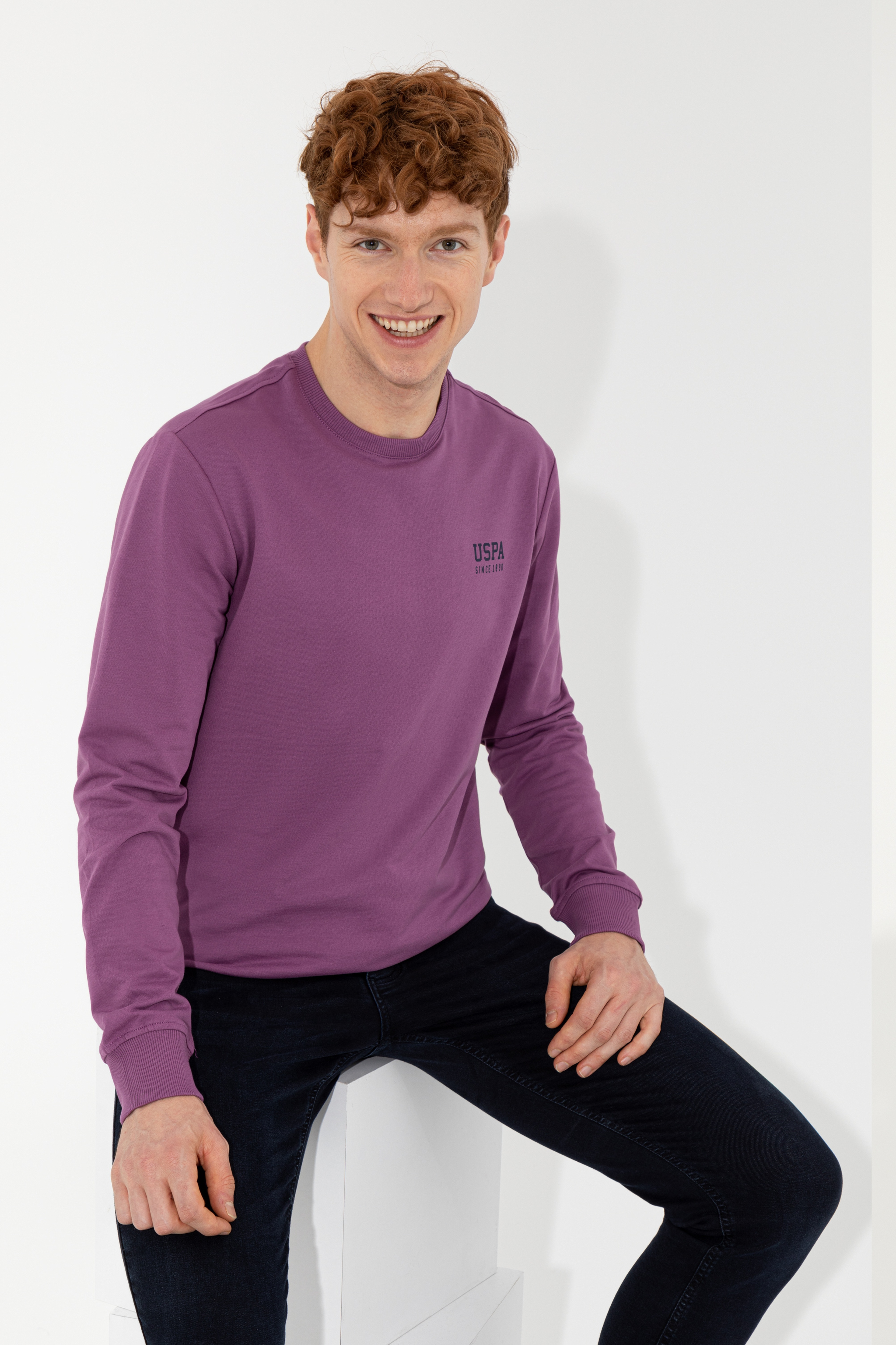 Erkek Menekşe Basic Sweatshirt - Image 4