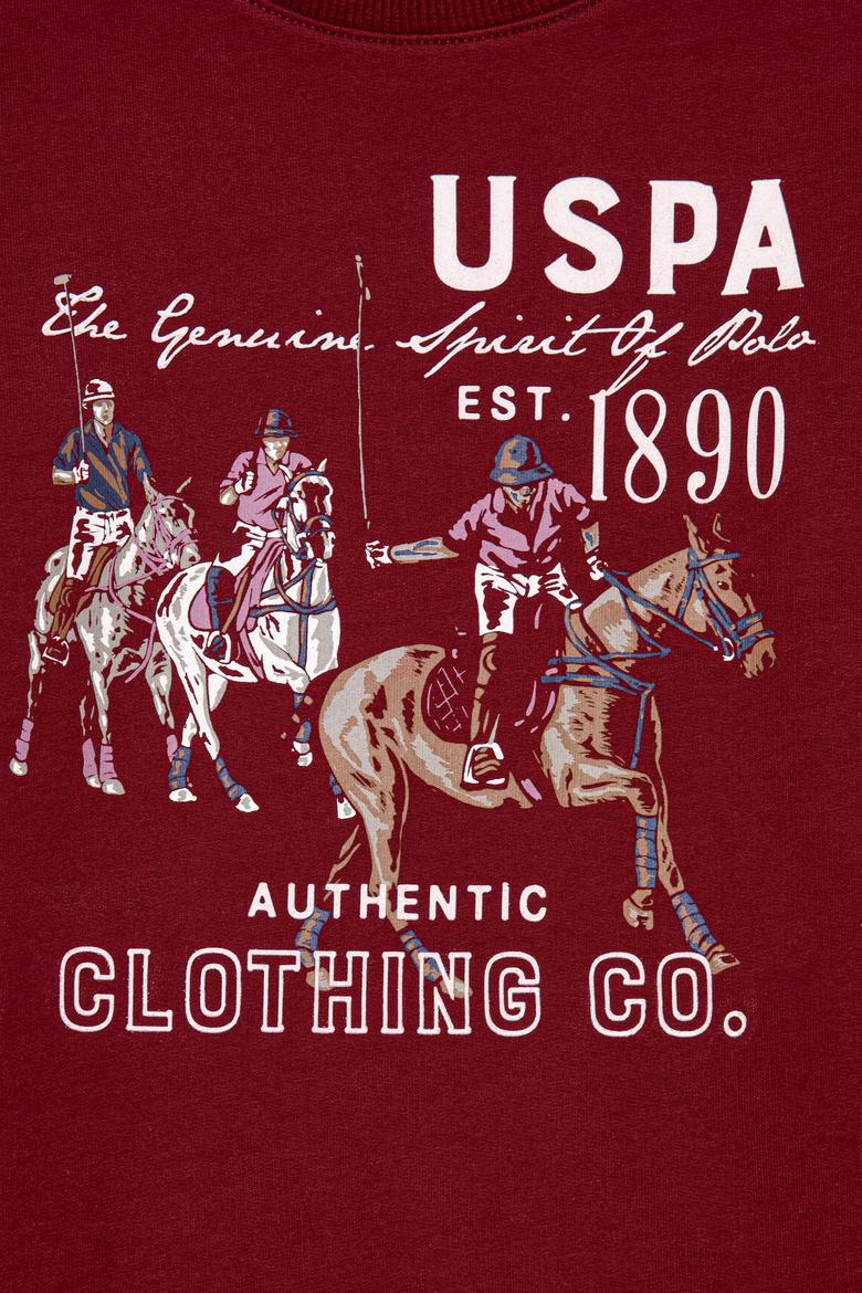 Erkek Çocuk Vişne Sweatshirt - 50256329009