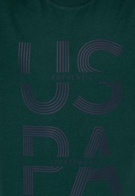 Erkek Yeşil Sweatshirt - 50257223028