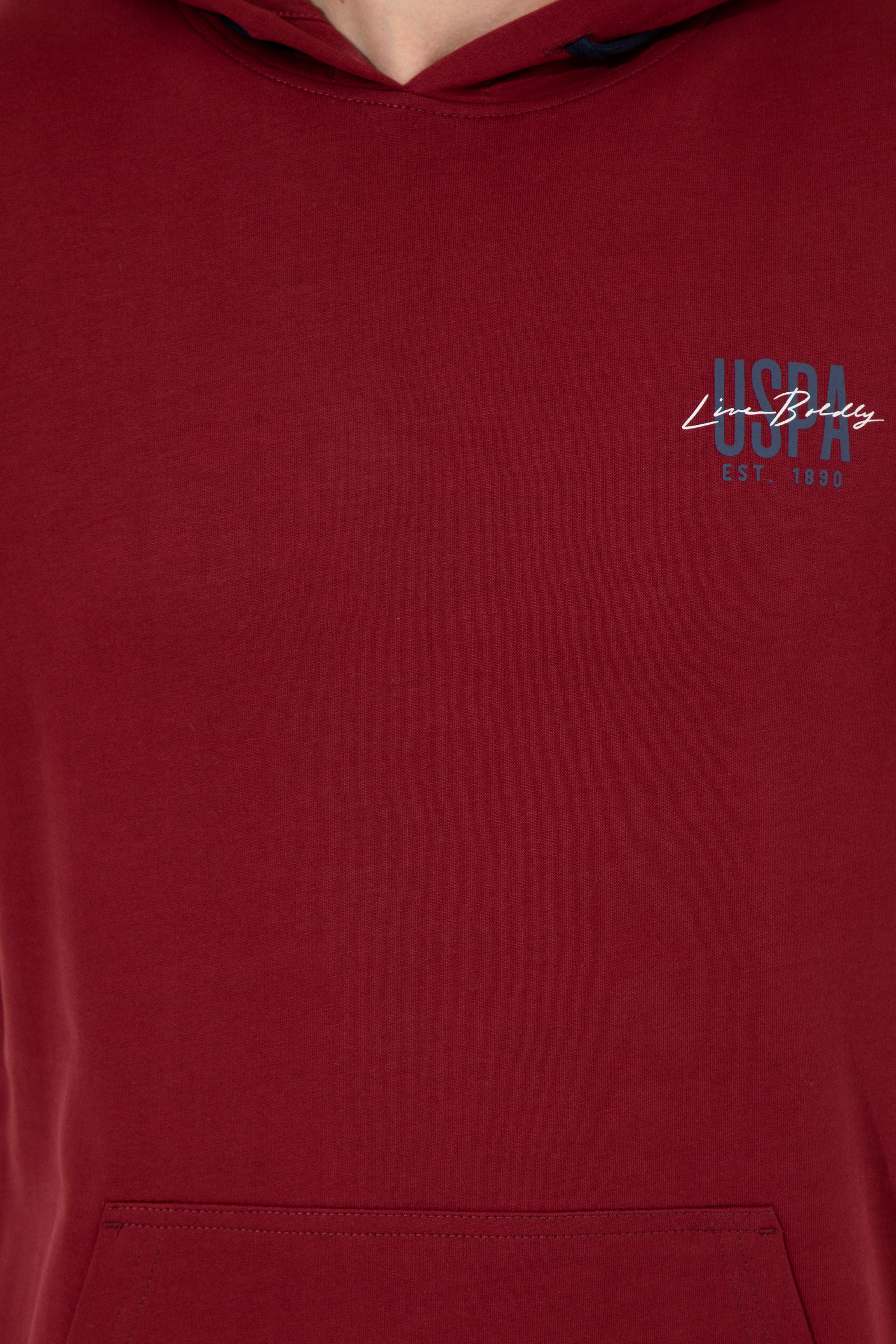 Erkek Vişne Kapüşonlu Basic Sweatshirt - Image 6