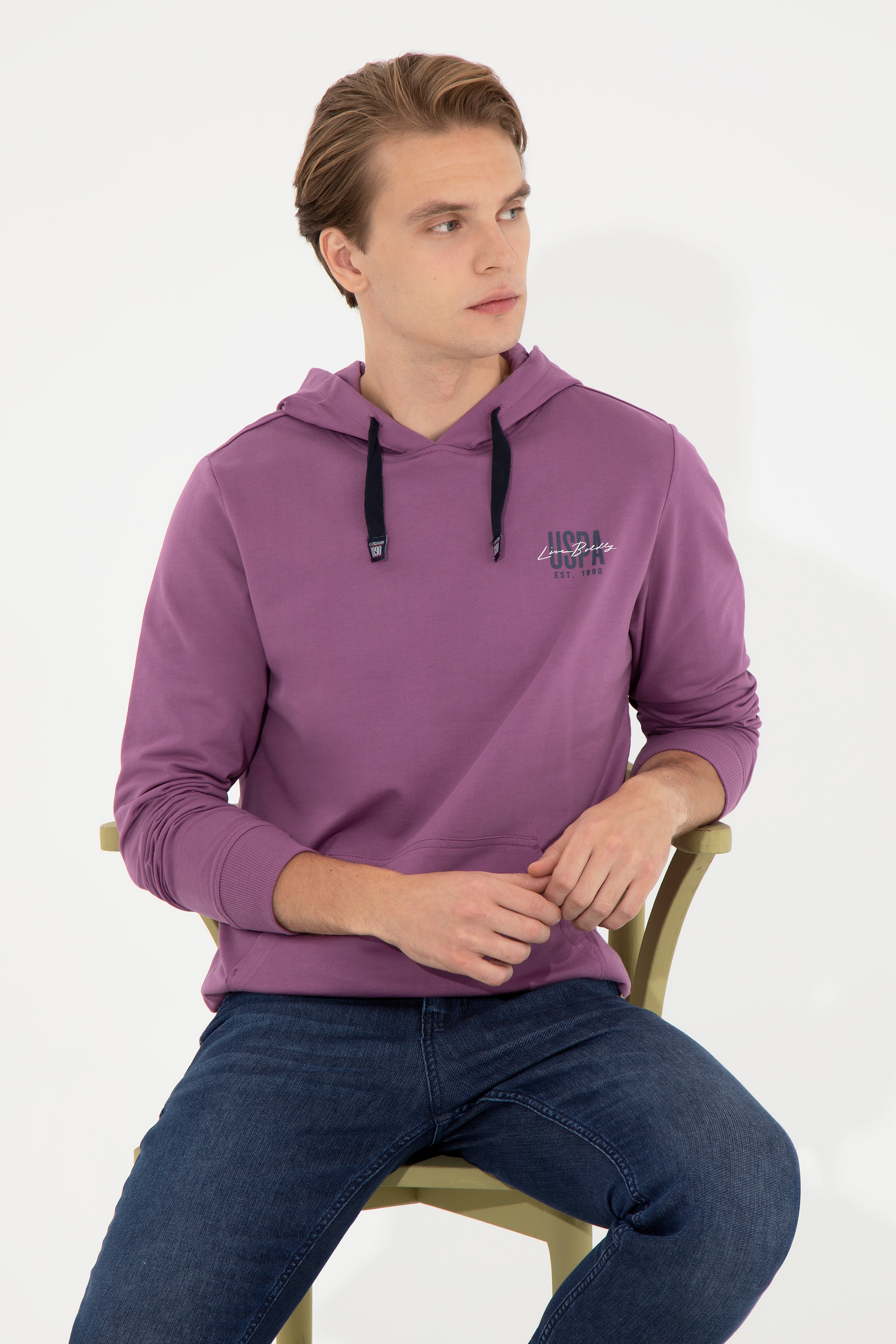 Erkek Menekşe Kapüşonlu Basic Sweatshirt - Image 2