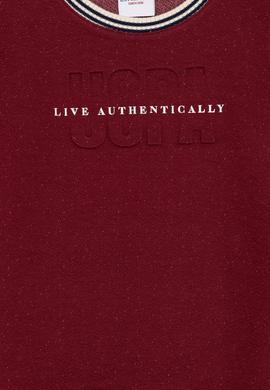 Erkek Çocuk Vişne Sweatshirt - 50256396021