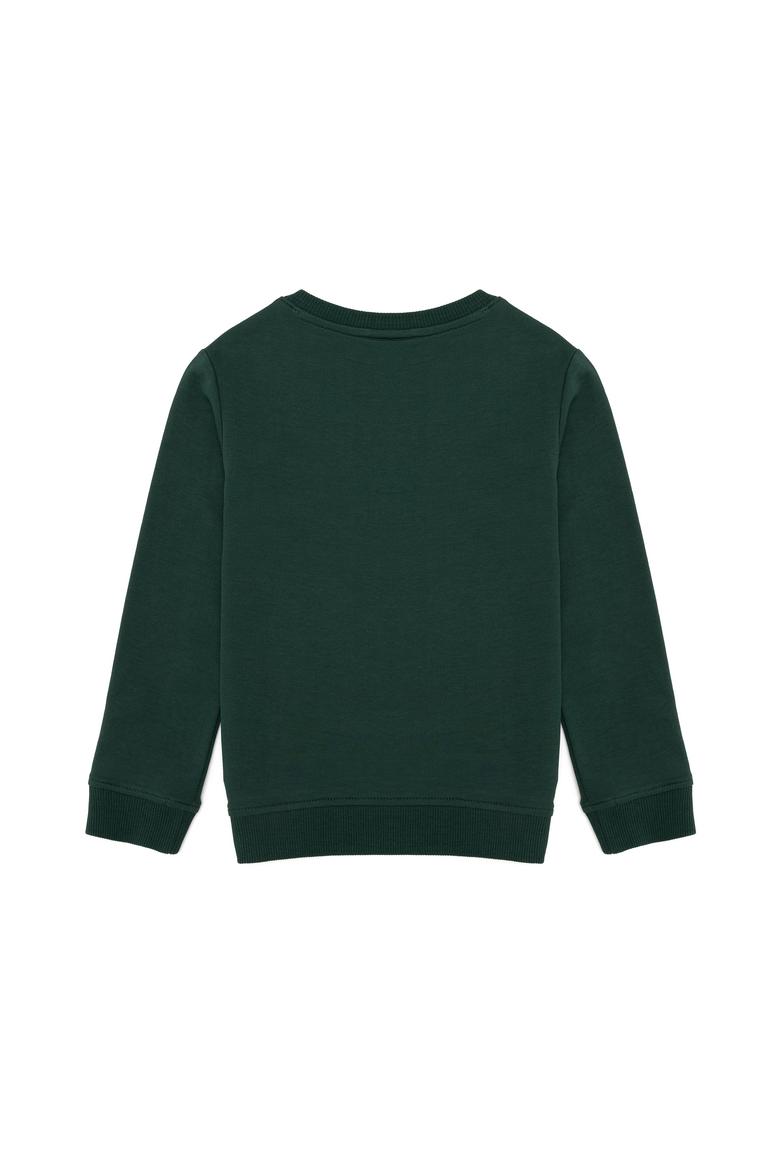 Erkek Çocuk Yeşil Sweatshirt - 50256329020