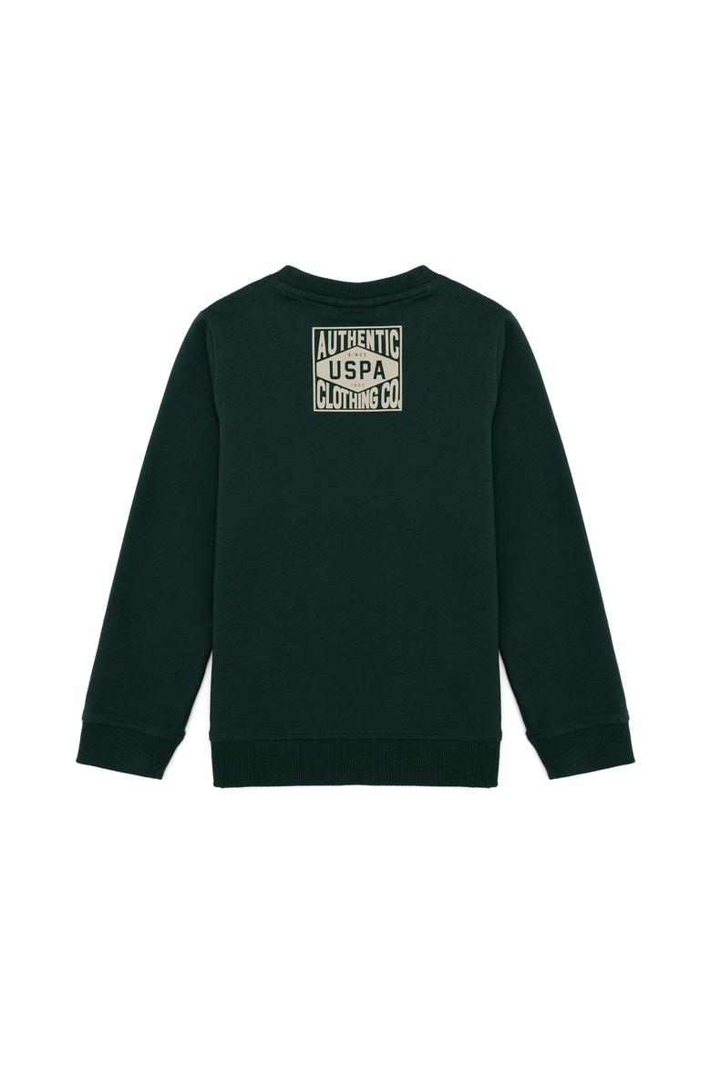 Erkek Çocuk Yeşil Sweatshirt - 50253419030