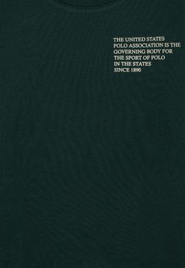 Erkek Çocuk Yeşil Sweatshirt - 50253419030