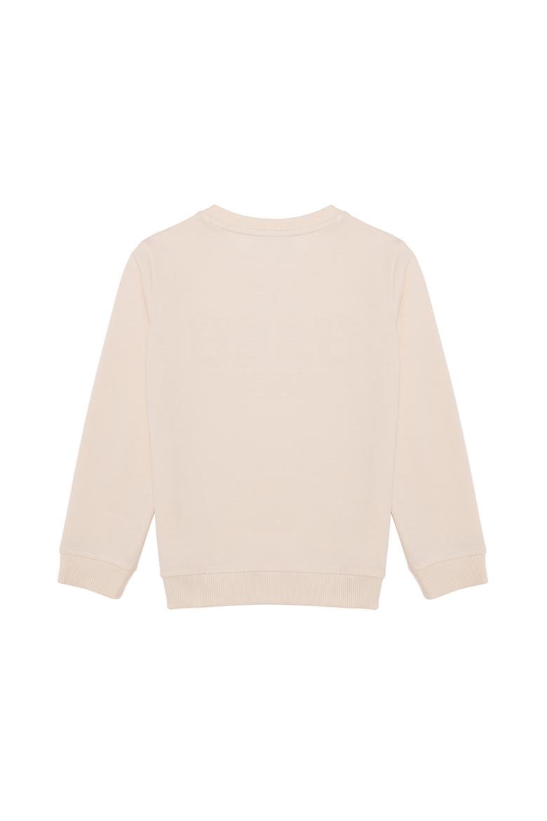 Erkek Çocuk Ekru Basic Sweatshirt - 50260645093