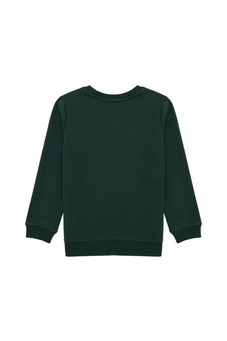 Çocuk Yeşil Basic Bisiklet Yaka Sweatshirt - 50254505078