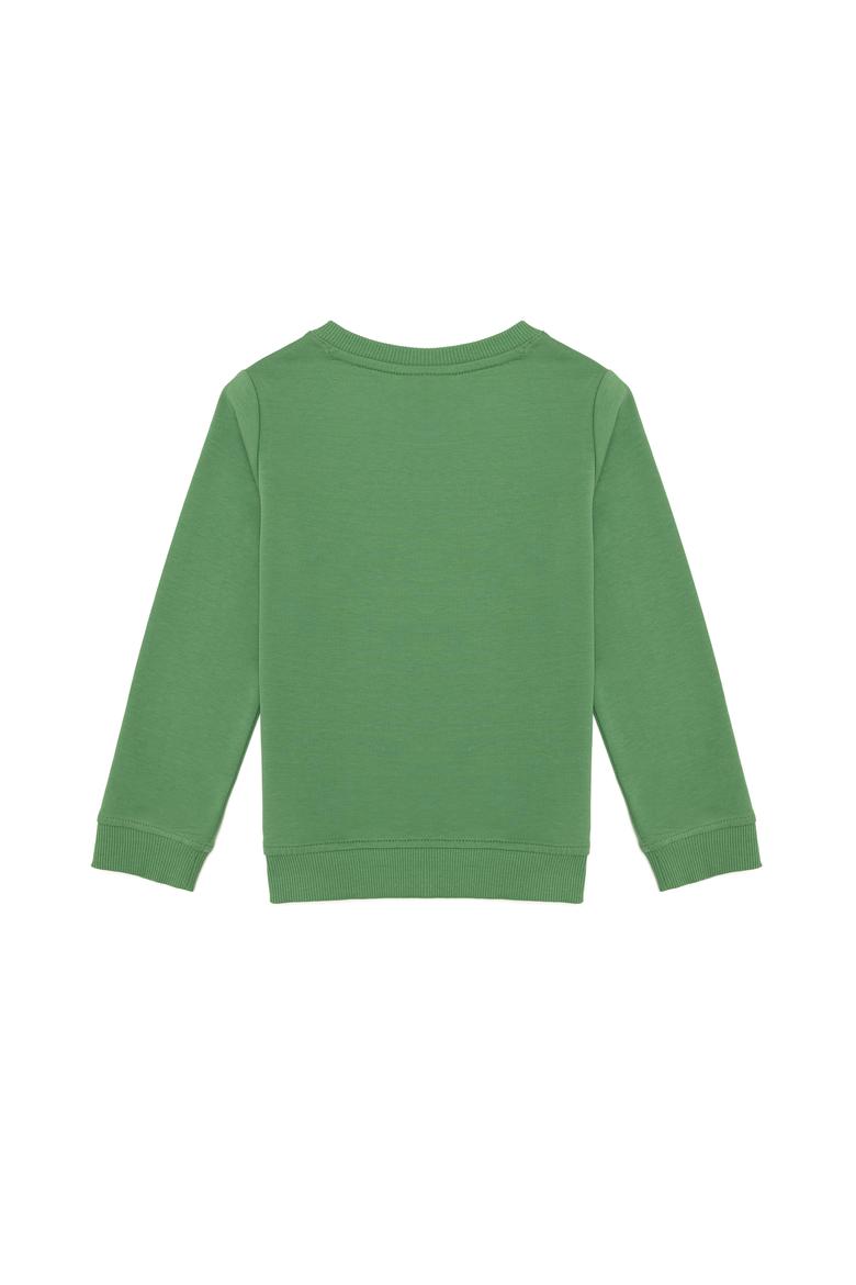 Erkek Çocuk Mint Basic Sweatshirt - 50260644106