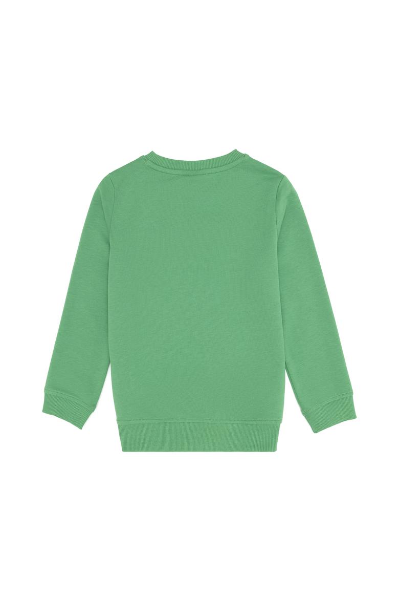 Erkek Çocuk Mint Basic Sweatshirt - 50260645082