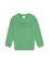 Erkek Çocuk Mint Basic Sweatshirt