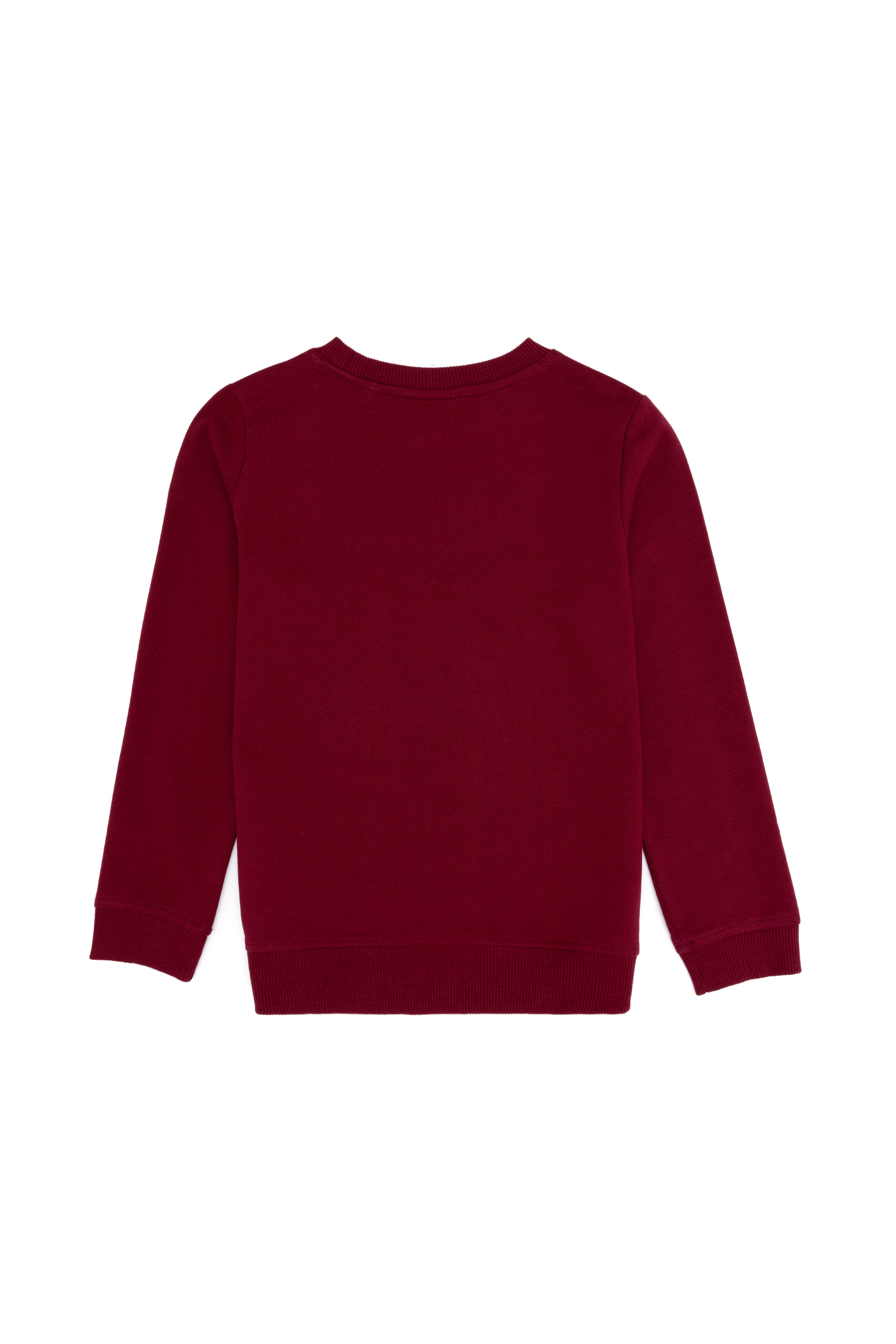 Erkek Çocuk Vişne Basic Sweatshirt