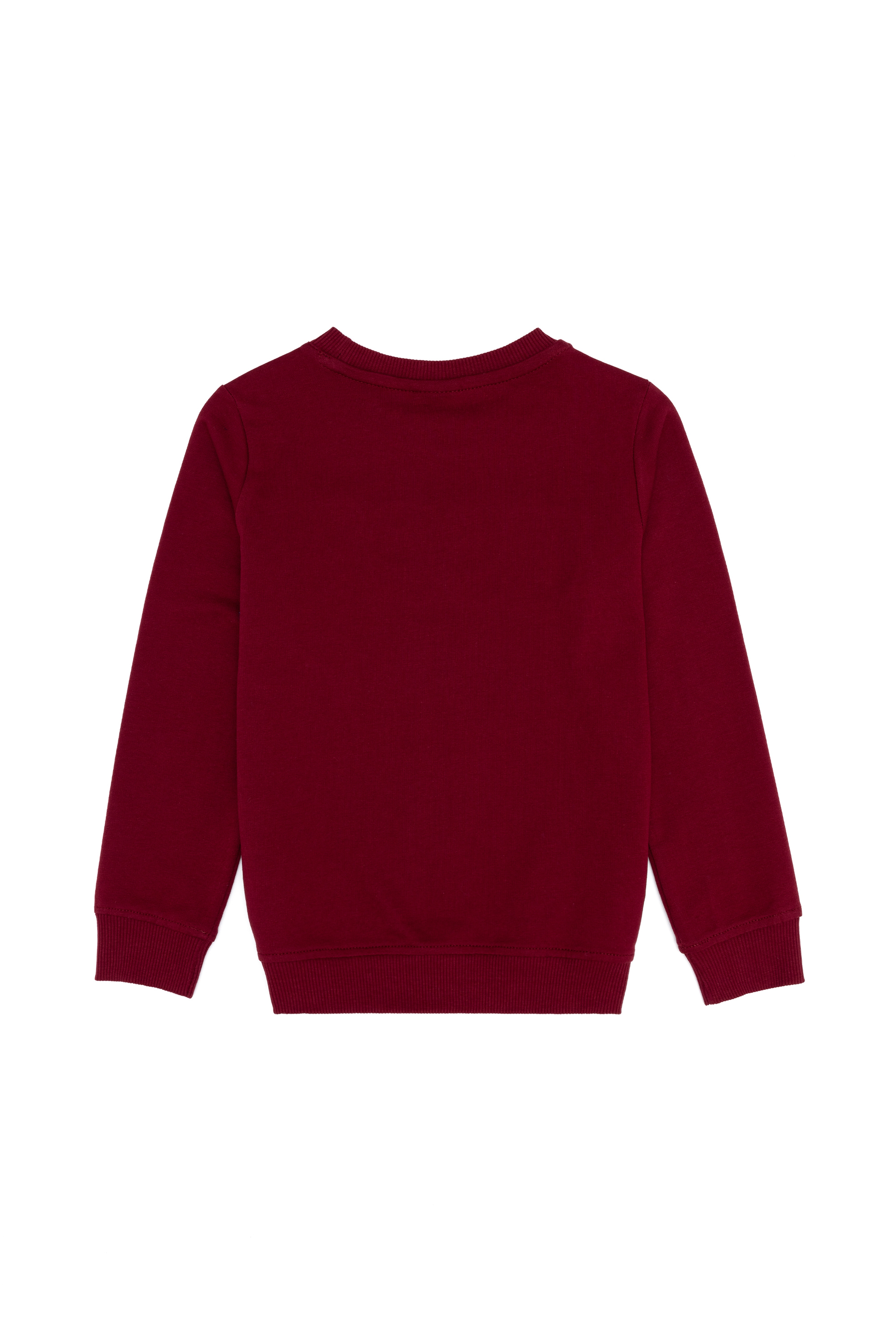 Erkek Çocuk Vişne Basic Sweatshirt