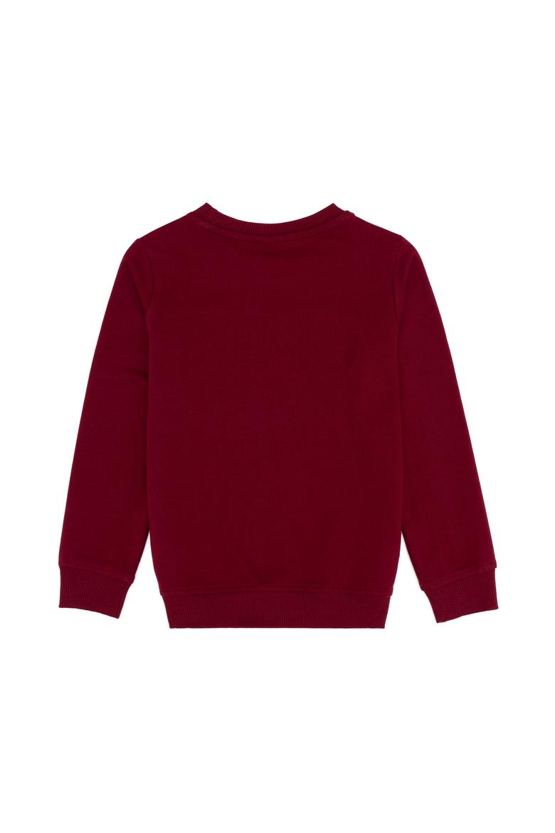 Erkek Çocuk Vİşne Basic Sweatshirt - 50260645060