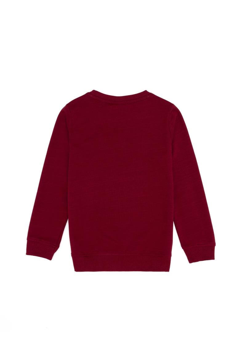 Erkek Çocuk Vişne Basic Sweatshirt - 50254506047