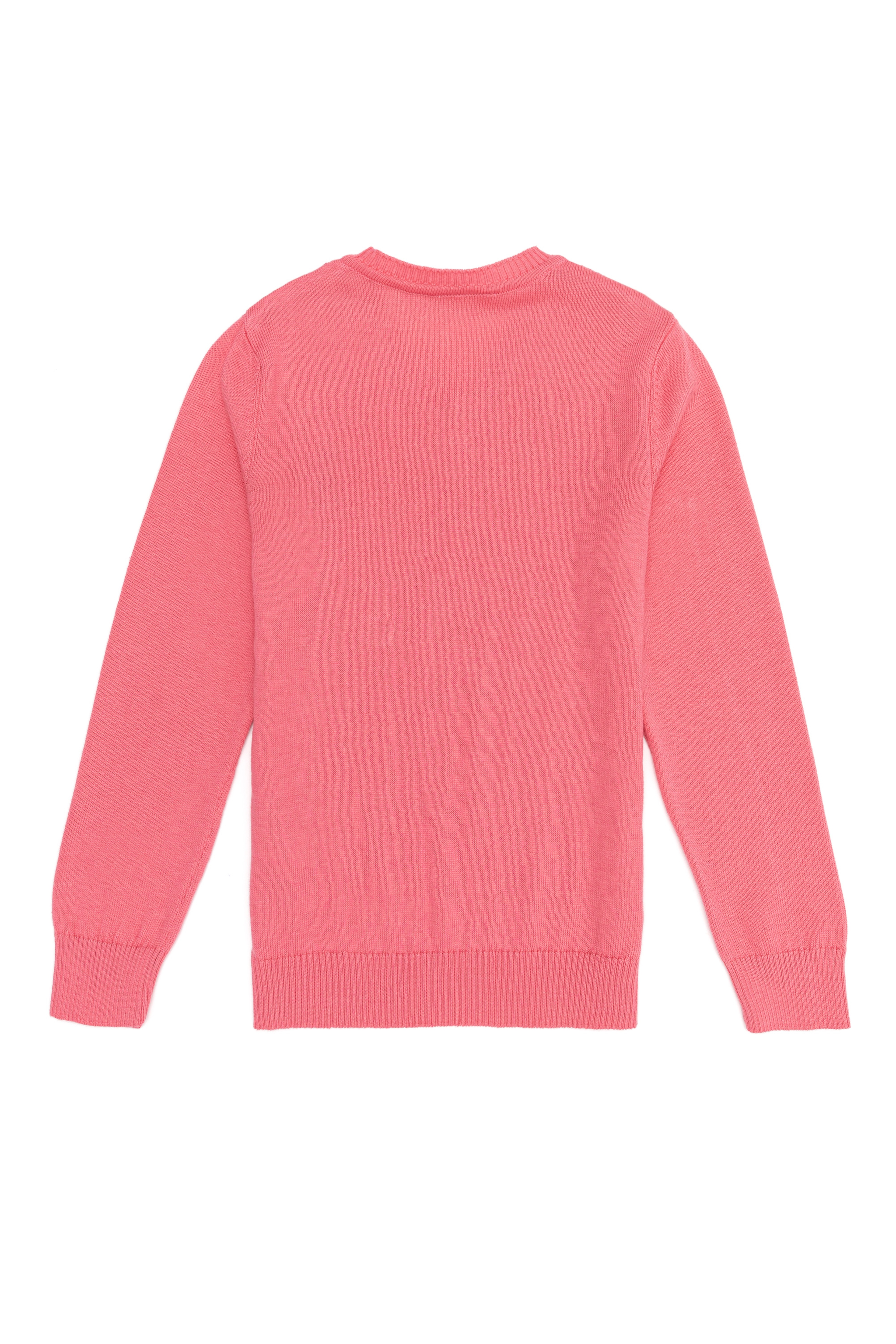 Kız Çocuk Açık Pembe Bisiklet Yaka Basic Kazak - Image 2