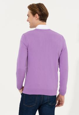 Erkek Lila V Yaka Basic Triko Kazak - 50251877151
