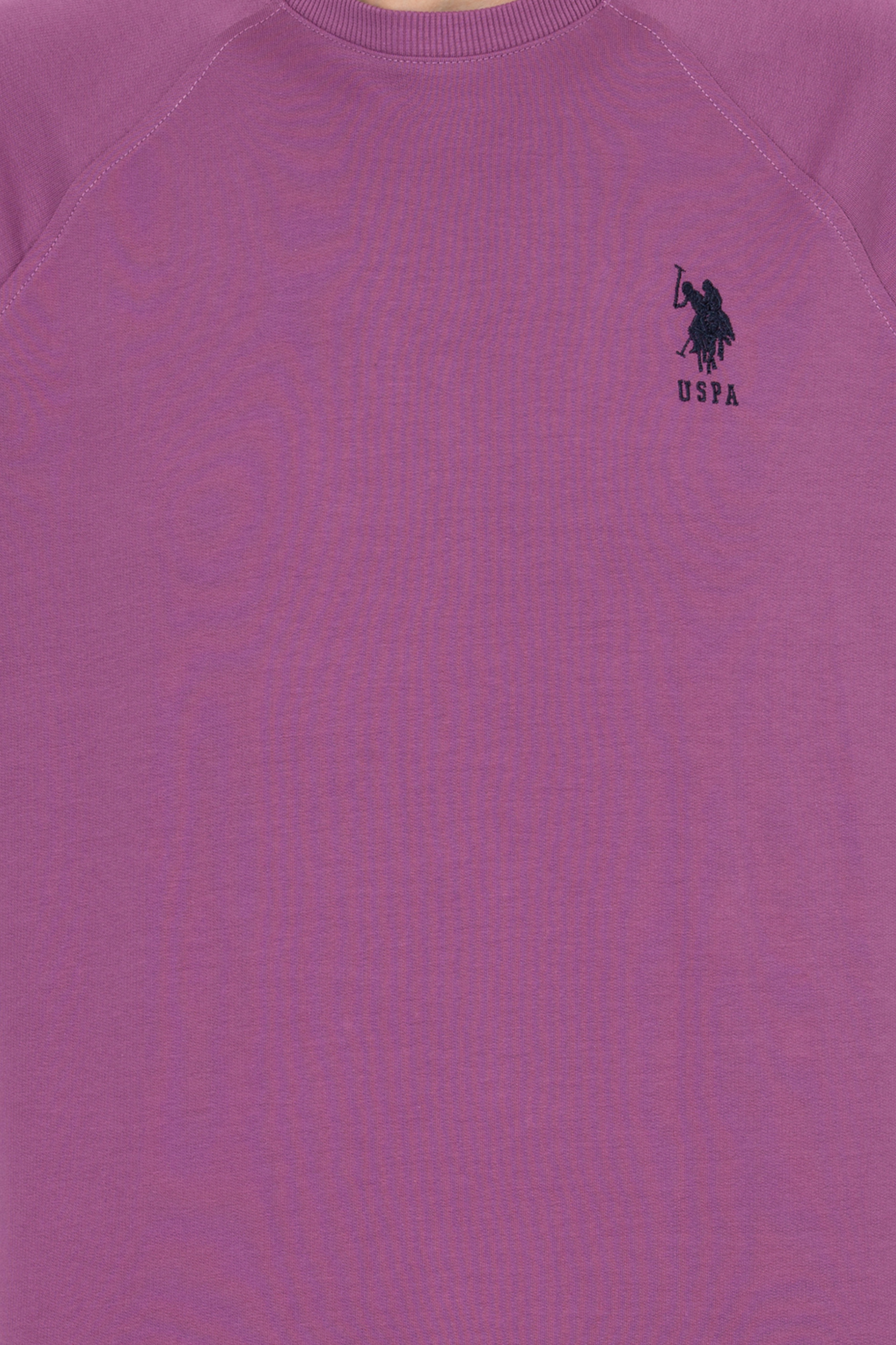 Erkek Menekşe Basic Sweatshirt - Image 6
