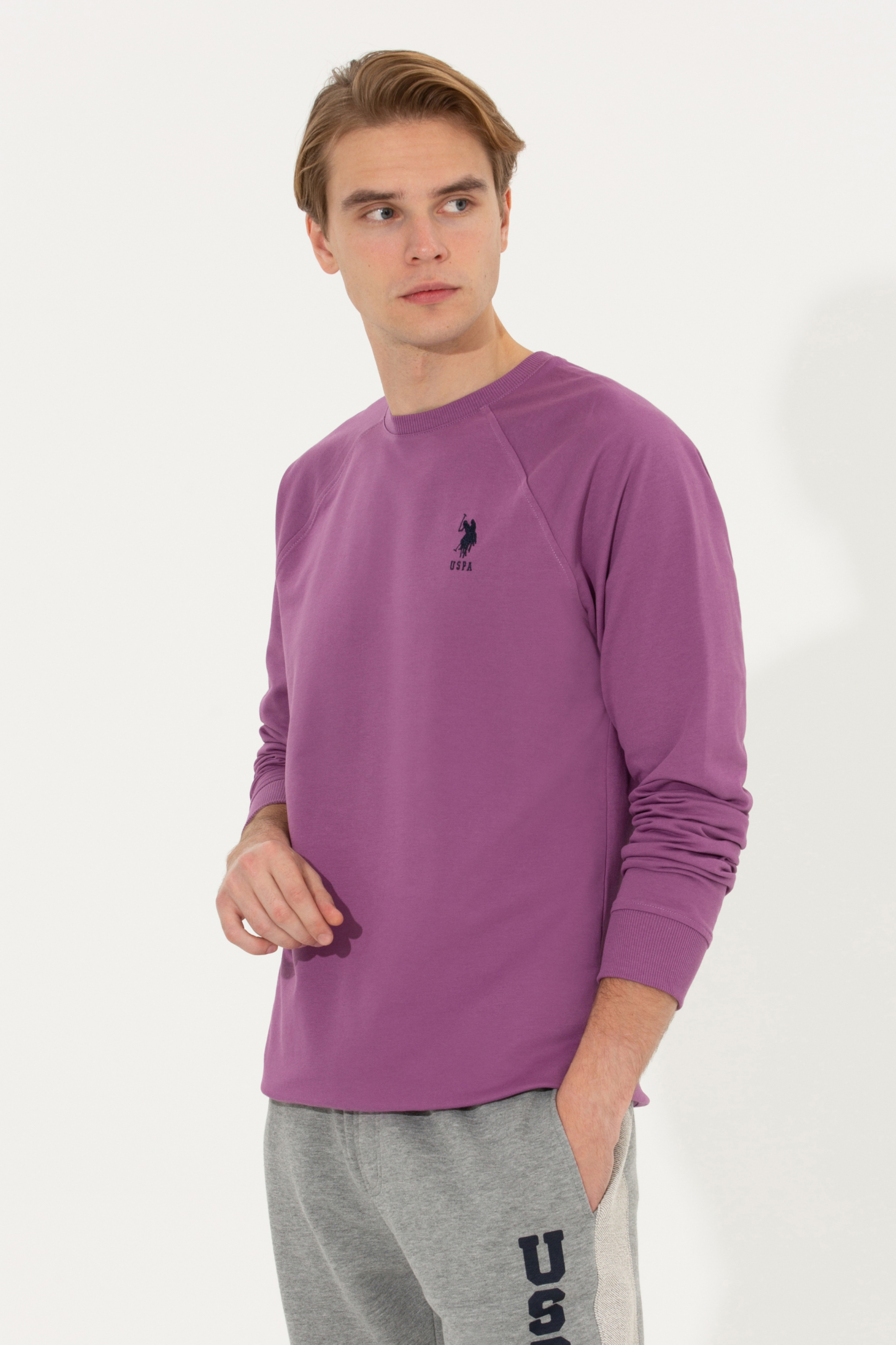 Erkek Menekşe Basic Sweatshirt - Image 3