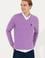 Erkek Lila V Yaka Basic Triko Kazak