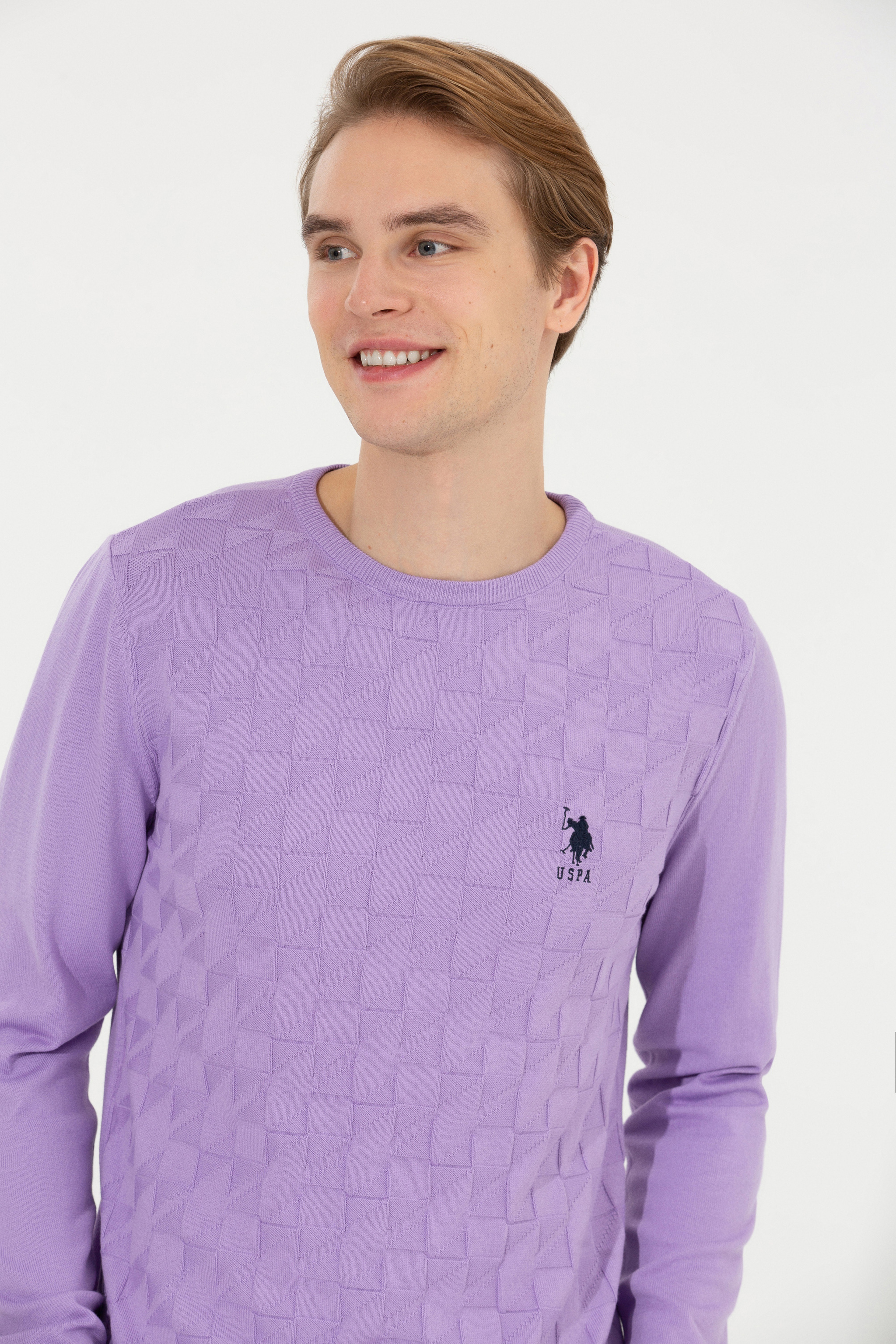 Erkek Lila Bisiklet Yaka Basic Triko Kazak