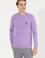 Erkek Lila Bisiklet Yaka Basic Triko Kazak