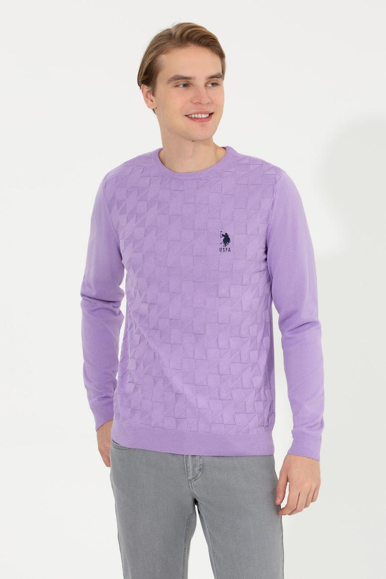 Erkek Lila Bisiklet Yaka Basic Triko Kazak