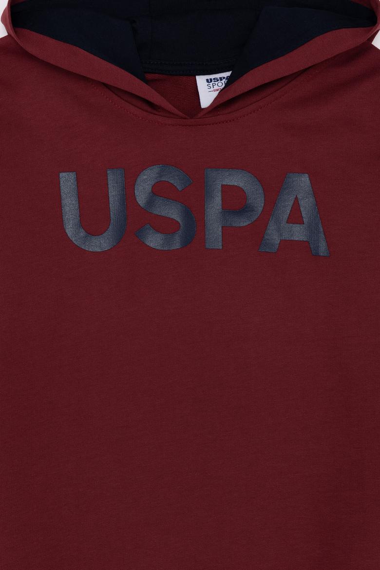 Çocuk Vişne Basic Kapüşonlu Sweatshirt - 50253477045