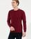 Erkek Bordo Bisiklet Yaka Triko Kazak