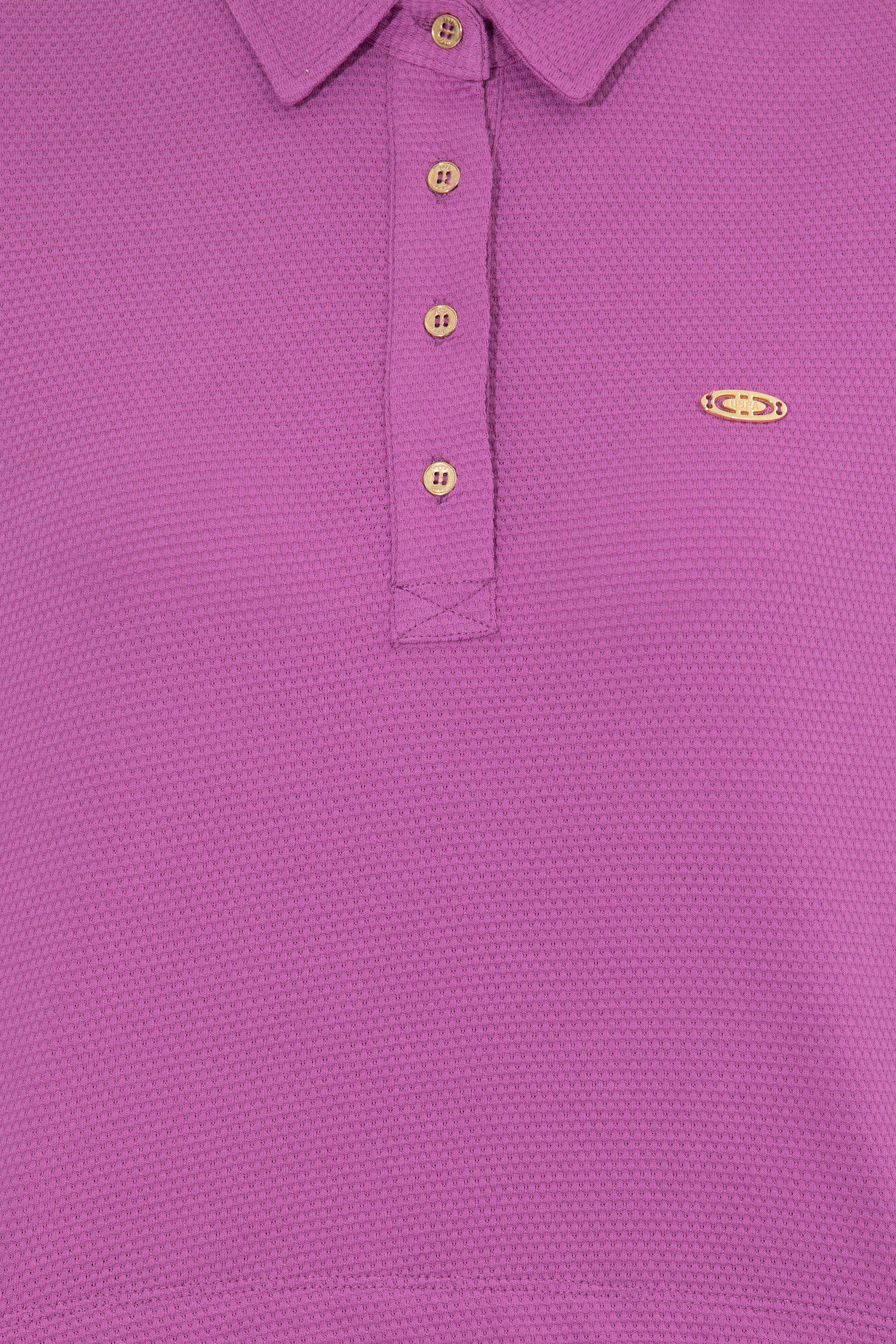 Kadın Menekşe Polo Yaka Crop Tişört - Image 6
