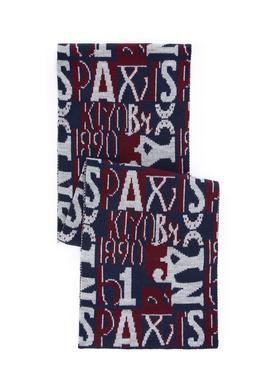 Erkek Çocuk Lacivert Kaşkol - 50255108006