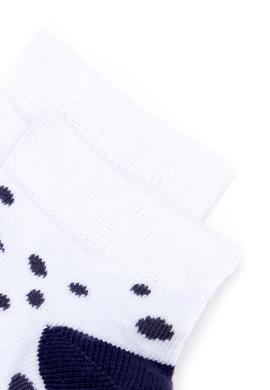 Erkek Çocuk Lacivert Çorap - 50248743004